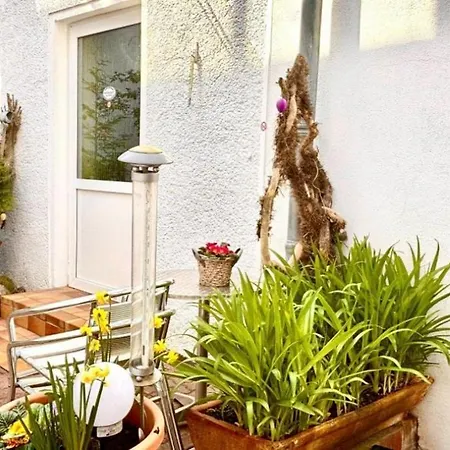 Spatzennest Am Alten Strom